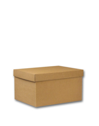 Caja "Kraft Línea 1100" (38.5x30x22 cm.)