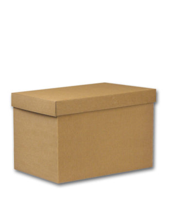 Caja "Kraft Línea 1300" (49x34x33 cm.)