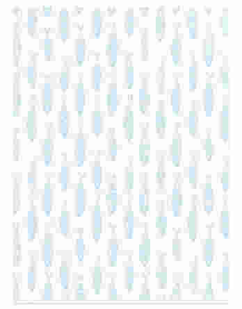 Bobina de Papel Fibra de Remolacha R0004