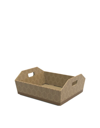 Cesta Everyday con Asa (21.5x15.5x5 cm.)