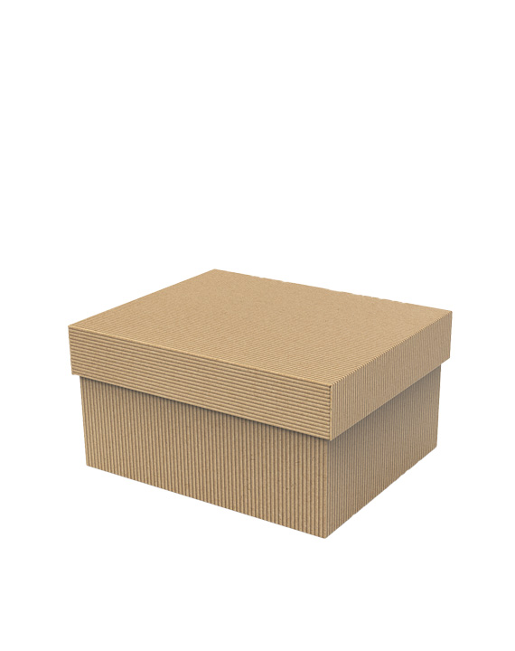 Caja "Kraft Línea 990" sin ventana (28x23x14 cm.)