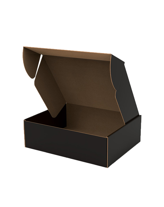 Caja e-commerce Negro (25x20x8 cm.)
