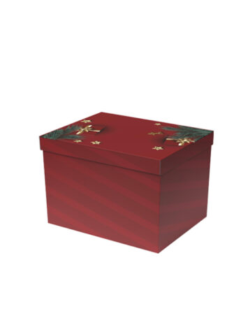 Caja Holy Spirit (49x34x33 cm.)