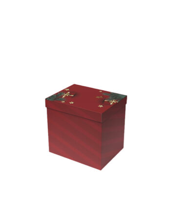 Caja Holy Spirit (28x23x14 cm.)