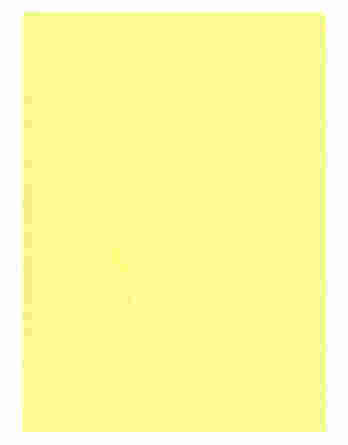 Bobina de Papel Fibra de Remolacha RL011