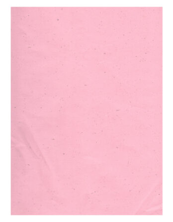 Bobina de Papel Caña de Azúcar RL012