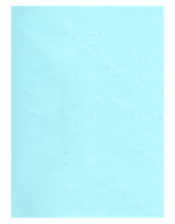 Bobina de Papel Caña de Azúcar RL013