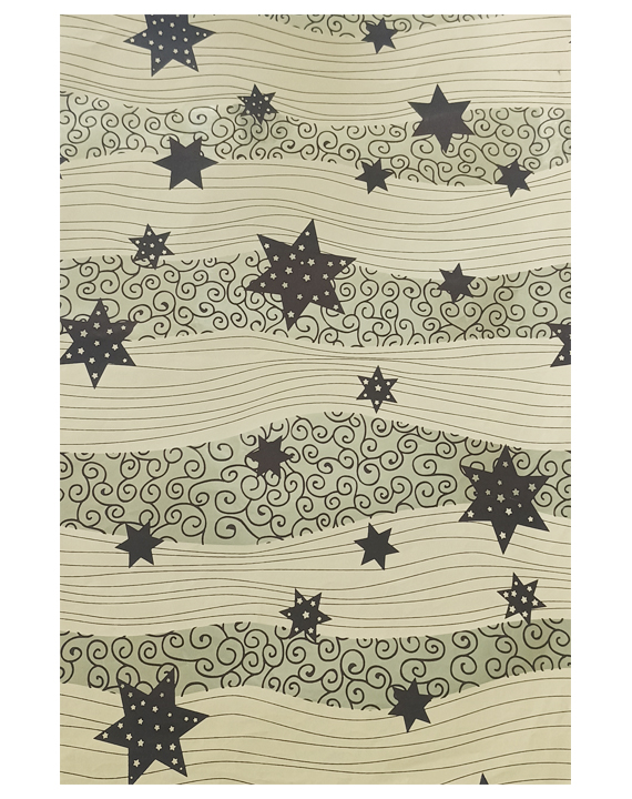 Bobina de Papel Metallic Ref.99851H