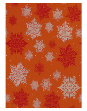 Bobina de Papel Eco diseño A0673 ( Estrellas plata )